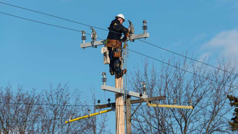Electrical-power line repairer works on power-line pole. 